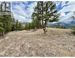 2400 Kootenay Rd No 3 Road Lot# 2, Windermere, BC V0B1L1 Photo 20