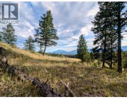 2400 Kootenay Rd No 3 Road Lot# 2, Windermere, BC V0B1L1 Photo 48