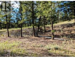 2400 Kootenay Rd No 3 Road Lot# 2, Windermere, BC V0B1L1 Photo 42