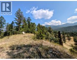 2400 Kootenay Rd No 3 Road Lot# 2, Windermere, BC V0B1L1 Photo 27
