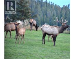 2400 Kootenay Rd No 3 Road Lot# 2, Windermere, BC V0B1L1 Photo 61