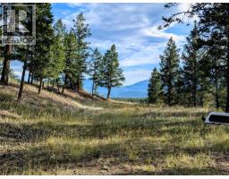 2400 Kootenay Rd No 3 Road Lot# 2, Windermere, BC V0B1L1 Photo 45
