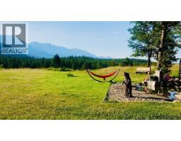 2400 Kootenay Rd No 3 Road Lot# 2, Windermere, BC V0B1L1 Photo 59