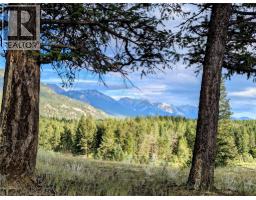 2400 Kootenay Rd No 3 Road Lot# 2, Windermere, BC V0B1L1 Photo 43
