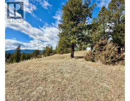 2400 Kootenay Rd No 3 Road Lot# 2, Windermere, BC V0B1L1 Photo 8