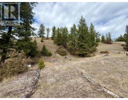 2400 Kootenay Rd No 3 Road Lot# 2, Windermere, BC V0B1L1 Photo 15
