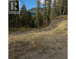 2400 Kootenay Rd No 3 Road Lot# 2, Windermere, BC V0B1L1 Photo 23