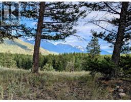 2400 Kootenay Rd No 3 Road Lot# 2, Windermere, BC V0B1L1 Photo 44