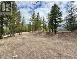 2400 Kootenay Rd No 3 Road Lot# 2, Windermere, BC V0B1L1 Photo 6