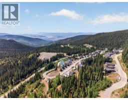 9823 Cathedral Drive, Silver Star, BC V1B0S1 Photo 48