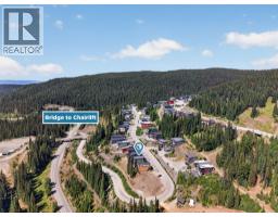 9823 Cathedral Drive, Silver Star, BC V1B0S1 Photo 45