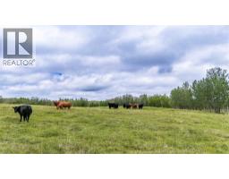 49118 Hwy 759, Rural Brazeau County, AB T7Z1S9 Photo 43
