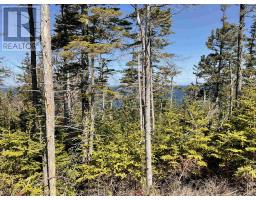 23-1 Hendsbee Wharf Road, Phillips Harbour, NS B0H1N0 Photo 7