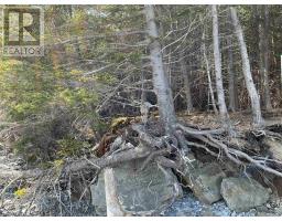 23-3 Hendsbee Wharf Road, Phillips Harbour, NS B0H1N0 Photo 6