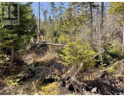 23-3 Hendsbee Wharf Road, Phillips Harbour, NS B0H1N0 Photo 8