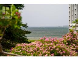 2160 East Petpeswick Road, East Petpeswick, NS B0J2L0 Photo 38