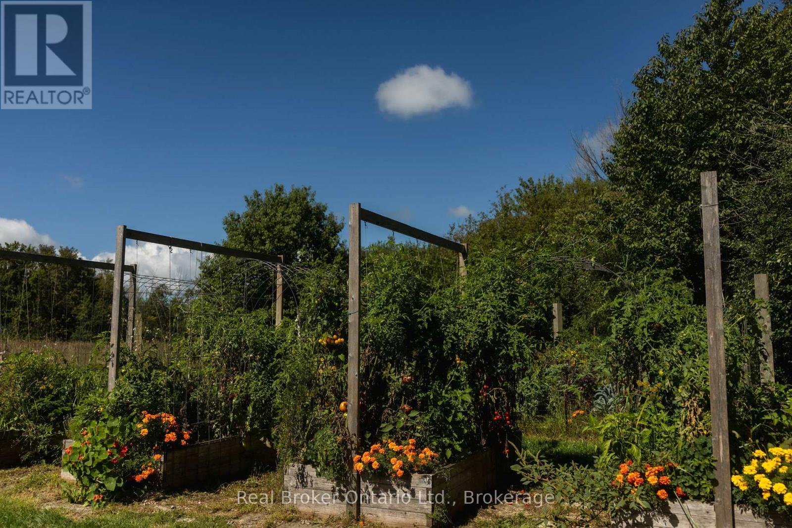 46447 OLD MAIL ROAD - Image 34