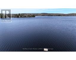 294 Everett Drive, Parry Sound Remote Area, ON P0H2R0 Photo 46