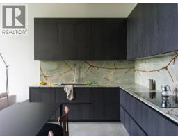 205 546 Beatty Street, Vancouver, BC V6B2L3 Photo 33