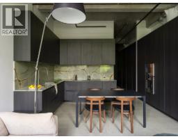 205 546 Beatty Street, Vancouver, BC V6B2L3 Photo 9