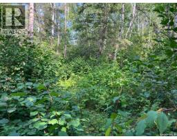 1 Birch Place At Gingara Subdivision (tobin Lake), Tobin Lake, SK S0E1E0 Photo 45