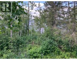 1 Birch Place At Gingara Subdivision (tobin Lake), Tobin Lake, SK S0E1E0 Photo 11