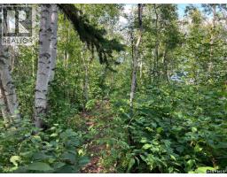 1 Birch Place At Gingara Subdivision (tobin Lake), Tobin Lake, SK S0E1E0 Photo 44