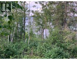 1 Birch Place At Gingara Subdivision (tobin Lake), Tobin Lake, SK S0E1E0 Photo 42