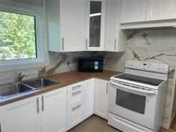 641 Birtle Street, Shoal Lake, MB R0J1Z0 Photo 13