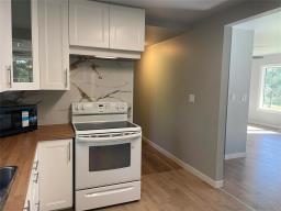 641 Birtle Street, Shoal Lake, MB R0J1Z0 Photo 14