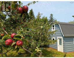 89 Stoney Island Road, North East Point, NS B0W2P0 Photo 48