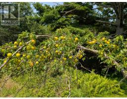 89 Stoney Island Road, North East Point, NS B0W2P0 Photo 49