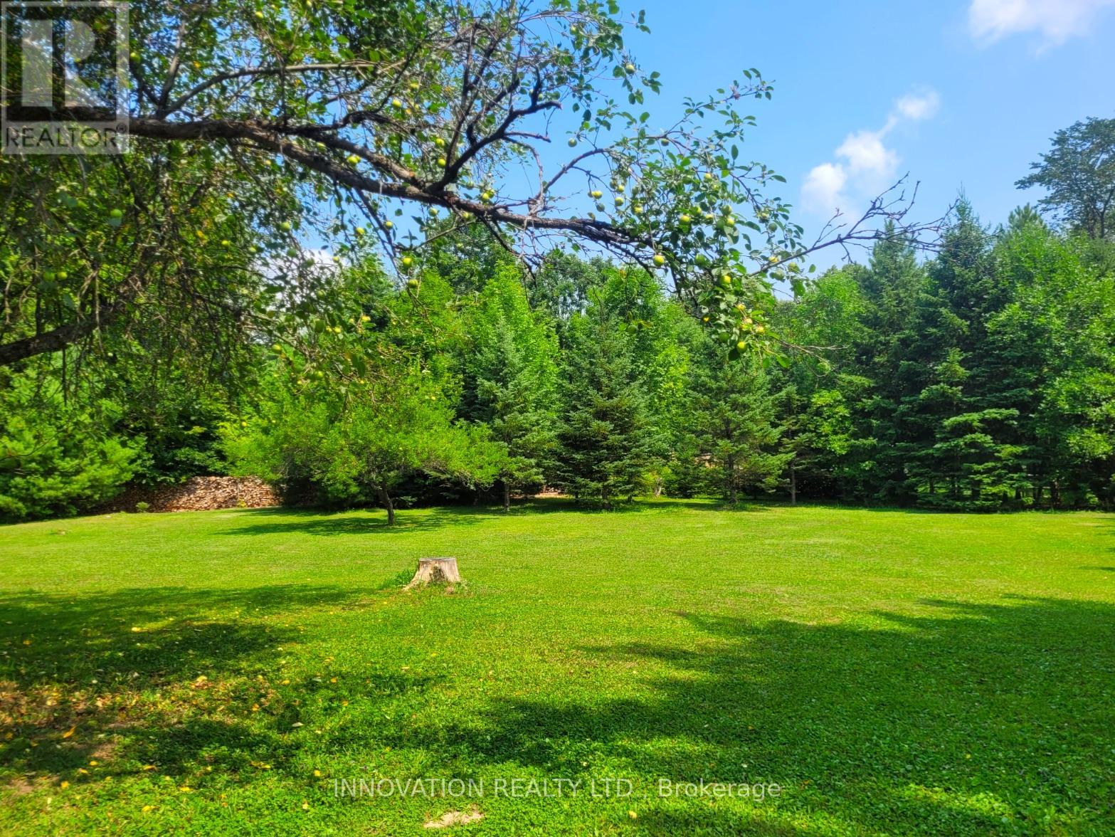 270 MACLARENS SIDE ROAD photo 43