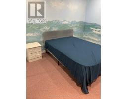 Lower - 141 Yorkland Street, Richmond Hill, ON L4S1C5 Photo 6
