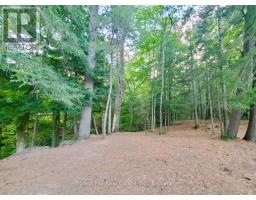 9 Spruce Glen Road, Huntsville, ON P1H1C9 Photo 46