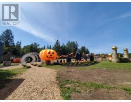 9 Spruce Glen Road, Huntsville, ON P1H1C9 Photo 49