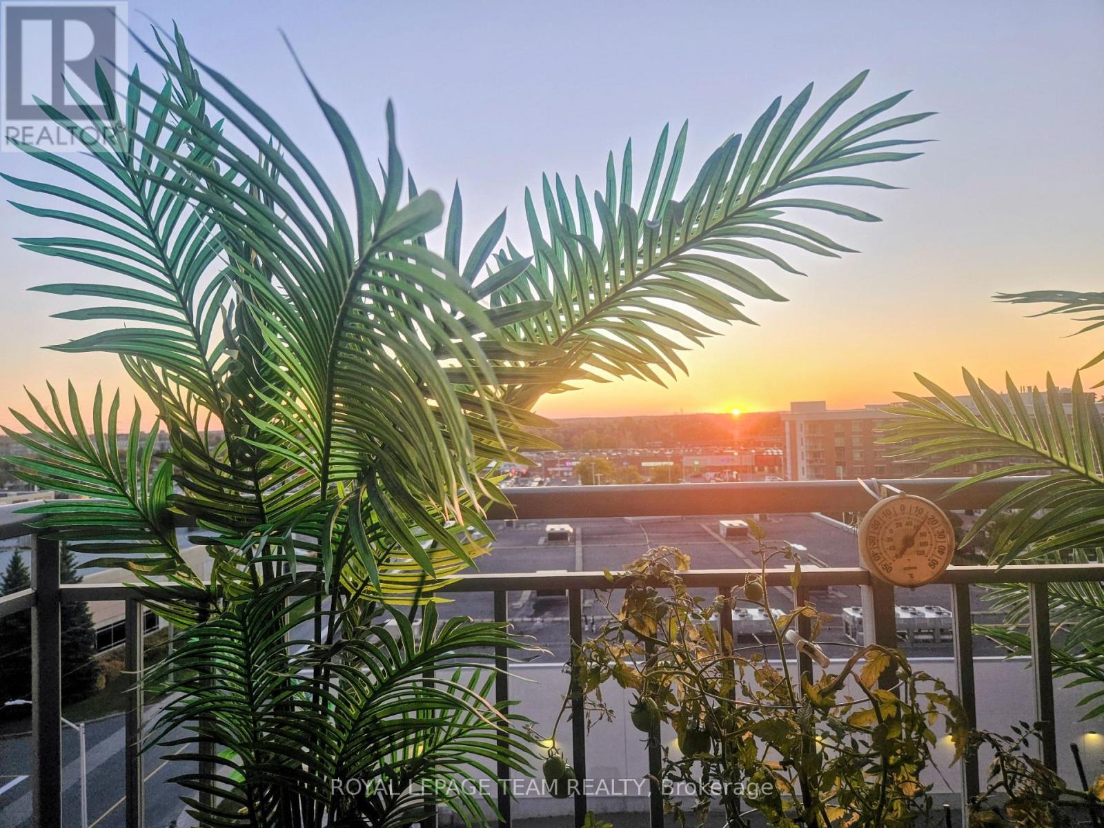 The view