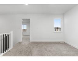 19131 20 Av Nw, Edmonton, AB T6M3E8 Photo 27