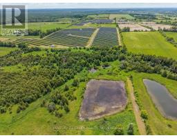 7265 Old Homestead Road, Georgina, ON L0E1N0 Photo 46