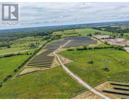 7265 Old Homestead Road, Georgina, ON L0E1N0 Photo 48