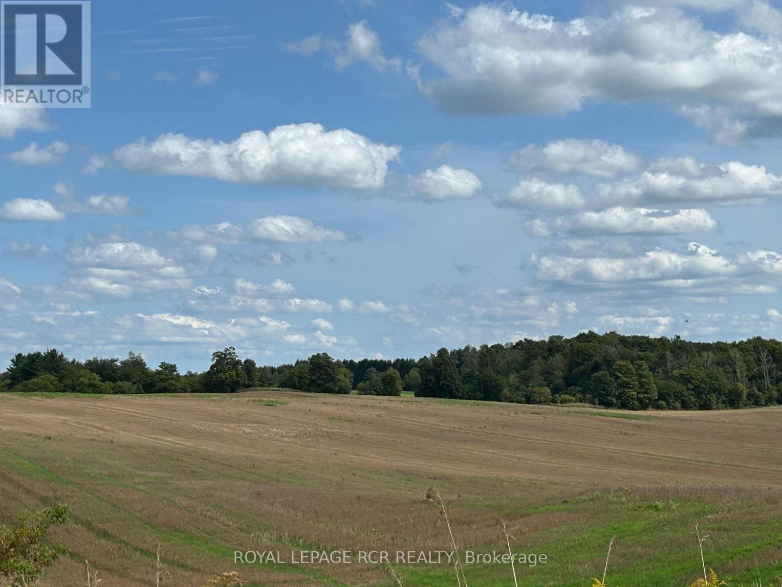 PTLT 29 2ND LINE, Amaranth — photo 5