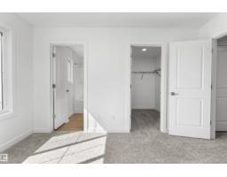 1060 14 Av Nw, Edmonton, AB T6T2W7 Photo 32