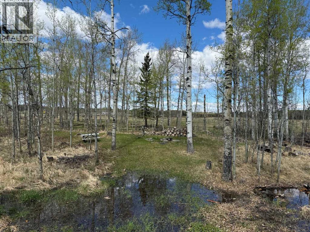 344019 22 Highway, Rural Clearwater County — photo 9