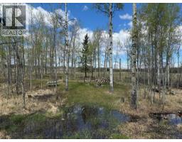 344019 22 Highway, Rural Clearwater County, AB T0M1C0 Photo 9