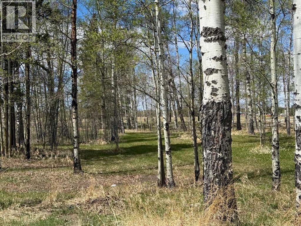 344019 22 Highway, Rural Clearwater County — photo 5