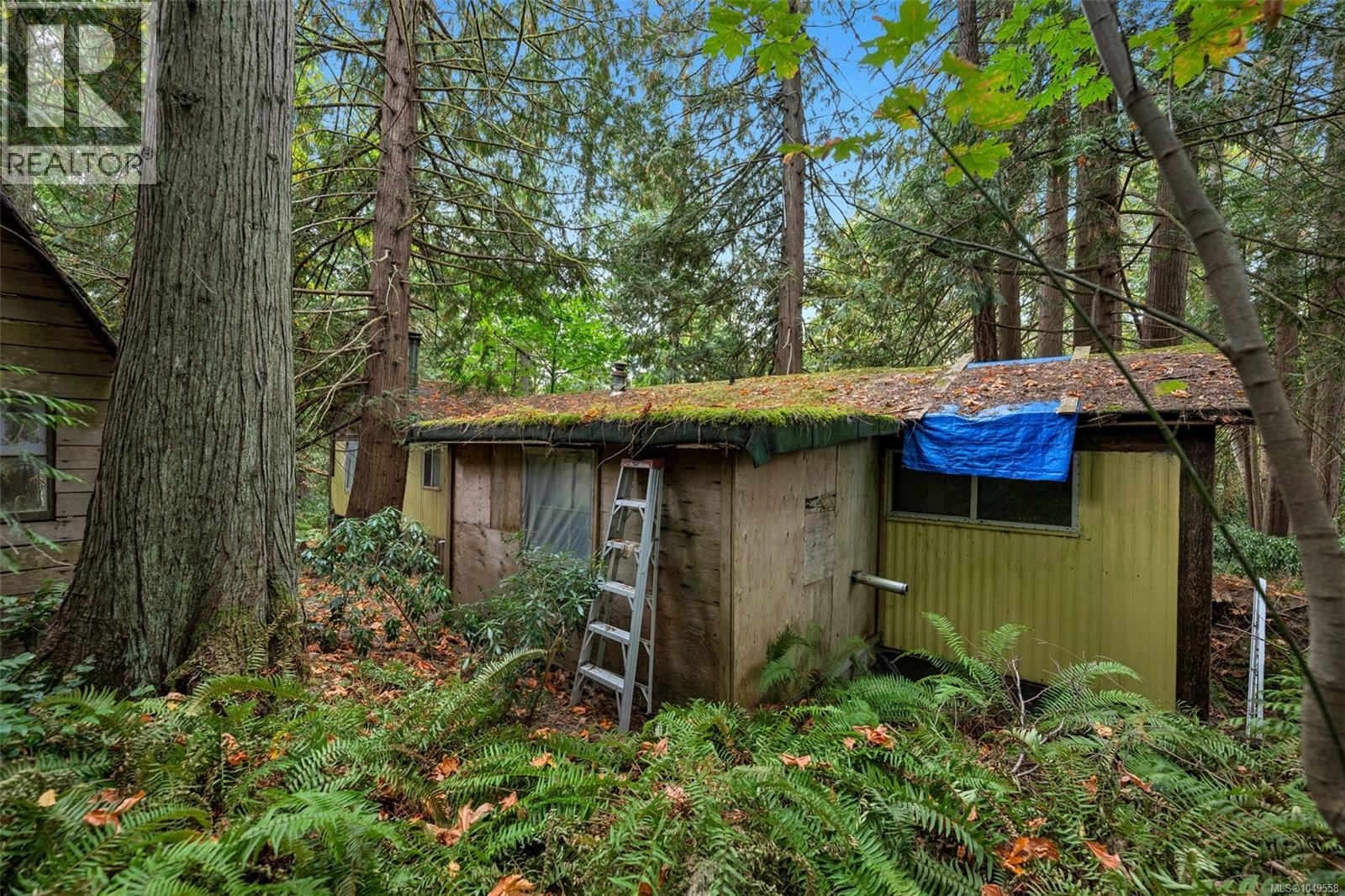 1003 Cedarwood Pl, Cobble Hill