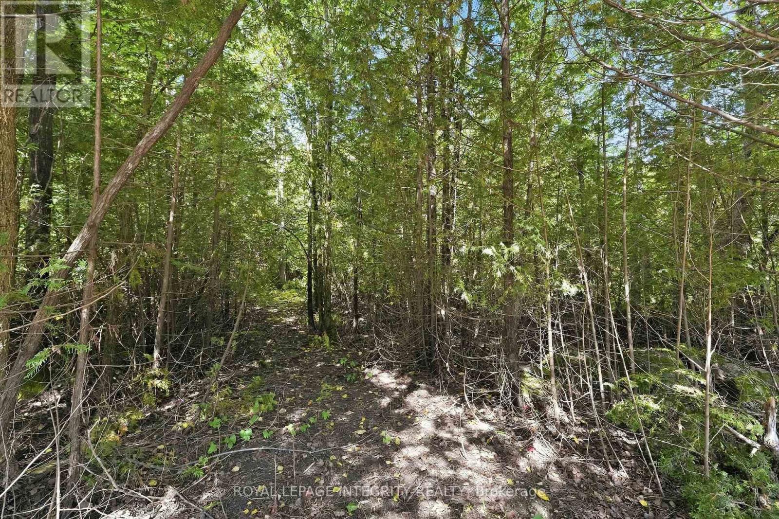Land for Sale in Ottawa – PT LOT 2 CON 4 MACKEY ROAD, Ottawa – MLS# X13776030 - Image 15