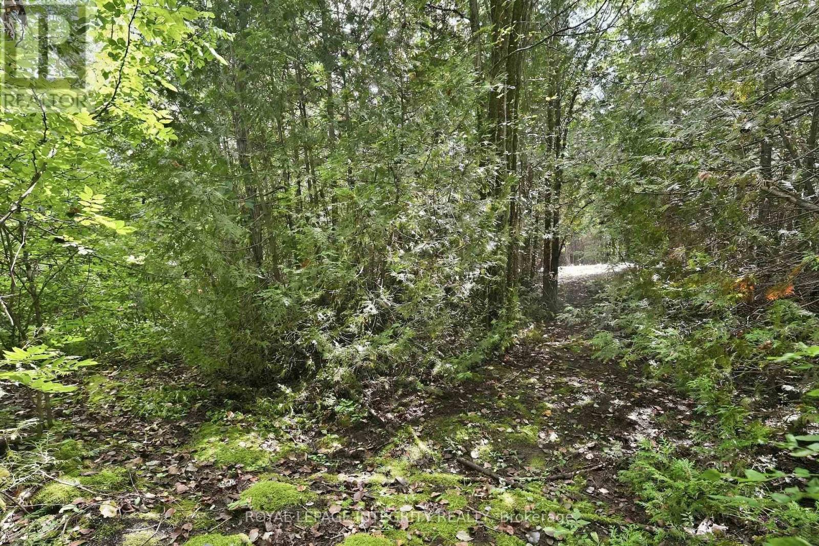 Land for Sale in Ottawa – PT LOT 2 CON 4 MACKEY ROAD, Ottawa – MLS# X13776030 - Image 17