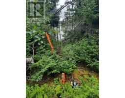 0 Branch Road thumbnail 7