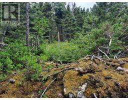 0 Branch Road thumbnail 6